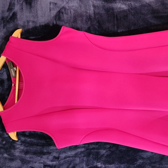 Sleeveless Raspberry Dress - Picture 5 of 8